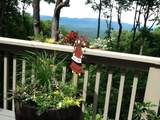 352 Sanderlin Mtn Drive - Photo 63