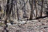 716 Moss Patch Trail - Photo 25