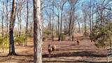 5981 Blacks Bluff Road - Photo 28