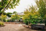 518 Winding Rose Drive - Photo 68