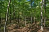 30 Tamarack Court - Photo 30