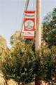44 Chickadee Court - Photo 48