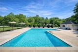 113 Colonial Ct - Photo 39