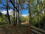 221 Muscadine Road - Photo 49