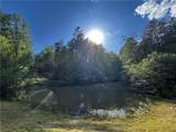 221 Muscadine Road - Photo 60
