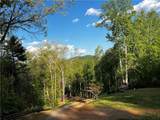 221 Muscadine Road - Photo 61