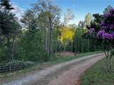 221 Muscadine Road - Photo 64