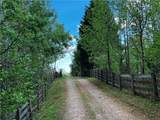 221 Muscadine Road - Photo 69