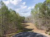 1005 Overlook Terrace Lot 53 - Photo 2