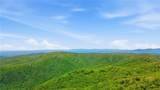3326 Monument Road - Photo 43