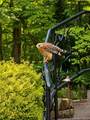 23 Blue Heron Point - Photo 14