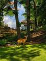 23 Blue Heron Point - Photo 80