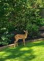 23 Blue Heron Point - Photo 82