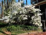 86 Bailey Drive - Photo 47