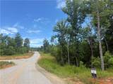 3 Blue Mountain Road - Photo 10