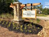 3 Blue Mountain Road - Photo 3