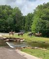 300 Sassafras Mountain Trail - Photo 83