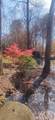 6801 Alabama Highway - Photo 40
