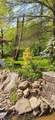 6801 Alabama Highway - Photo 41