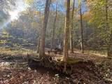 650 Mulberry Trail - Photo 11