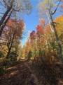650 Mulberry Trail - Photo 12