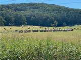 1654 A Ward Mountain Road - Photo 47