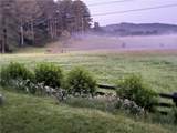 1654 A Ward Mountain Road - Photo 54