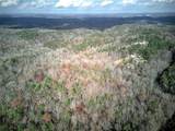 1252 Paris Mountain Road - Photo 62