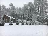 1252 Paris Mountain Road - Photo 74