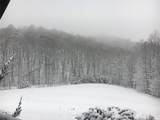 1252 Paris Mountain Road - Photo 76