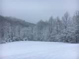 1252 Paris Mountain Road - Photo 77