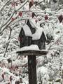 1252 Paris Mountain Road - Photo 78