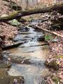 1252 Paris Mountain Road - Photo 82