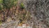 49 Apache Trail - Photo 49