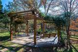 355 Clark Creek Pass - Photo 63