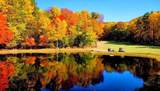 0 Shadowick Mountain Road - Photo 3