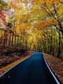 0 Shadowick Mountain Road - Photo 5