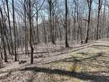 243 Dragon Trail - Photo 13