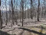 243 Dragon Trail - Photo 14
