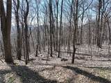 243 Dragon Trail - Photo 15