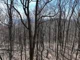 243 Dragon Trail - Photo 16