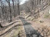 243 Dragon Trail - Photo 19
