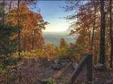 6117 Cardinal Drive - Photo 28