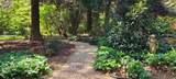 731 Hidden Lakes Trail - Photo 56