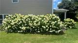 408 Leyland Drive - Photo 40