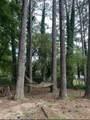 5370 Garvey Drive - Photo 14