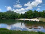 300 Sassafras Mountain Trail - Photo 70