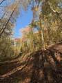 650 Mulberry Trail - Photo 14