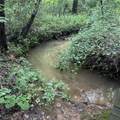 201 Jonquil Spring Road - Photo 70