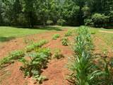 6675 Millwood Road - Photo 13